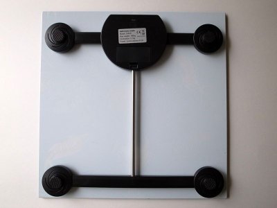 画像9: ALC アレキサンダーリーチャン 40%OFF "TROPICAL SCALES"