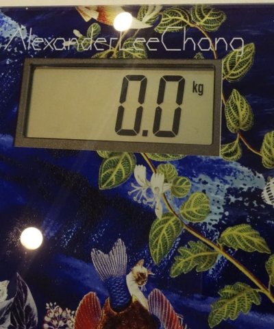 画像6: ALC アレキサンダーリーチャン 40%OFF "TROPICAL SCALES"