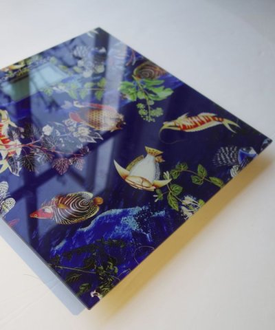 画像5: ALC アレキサンダーリーチャン 40%OFF "TROPICAL SCALES"