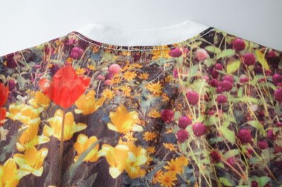 画像5: WATARU TOMINAGA       ringer T-shirt・garden-2