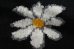 画像2: MacMahon Knitting Mills       Roll Neck Knit-Flower ・BLACK (2)