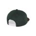 画像2: Polar Skate Co.       Jake Cap Dreams・Jade Green Brown (2)