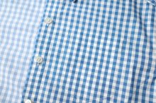 他の写真3: TSTS       2 GINGHAM SHIRT・BLUE AND SAXE BLUE