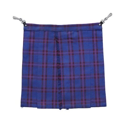 画像2: PEEL&LIFT       tartan kilt キルト・エリオットタータン