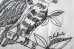 画像6: phebus       TWO BIRDS T-SHIRT・WHITE