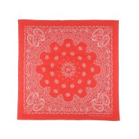 BELPER        7373・red