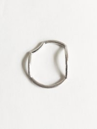 revie objects       〈ANALYZE〉●ring SV