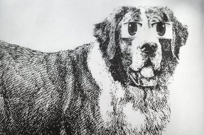 画像7: UNTRACE        TEE S/S "5"・WHITE