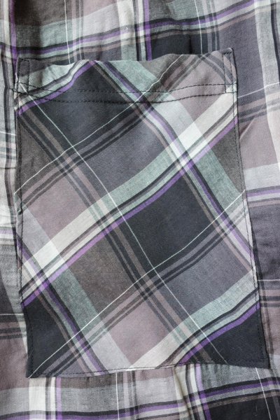 画像5: renewces       "checked shorts"