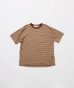 画像1: FOLL       wardrobe border tee・brown (1)