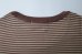 画像6: FOLL       wardrobe border tee・brown