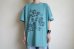 画像10: FlexibleVisual SPCE™       FADorFVS・green