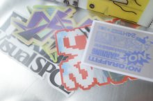 他の写真1: FlexibleVisual SPCE™       FVS STICKER SET