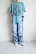 画像13: FlexibleVisual SPCE™       FADorFVS・green