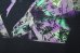 画像5: FLUO ICONS  　print T-shirt・D
