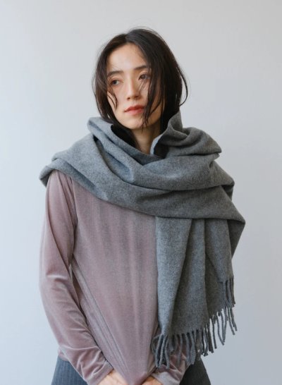 画像3: IFMEH       Sheer velour tops・gray