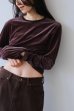 画像10: IFMEH       Sheer velour tops・brown (10)