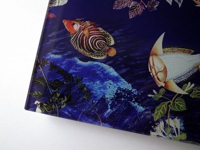 画像3: ALC アレキサンダーリーチャン  30%OFF "TROPICAL SCALES"