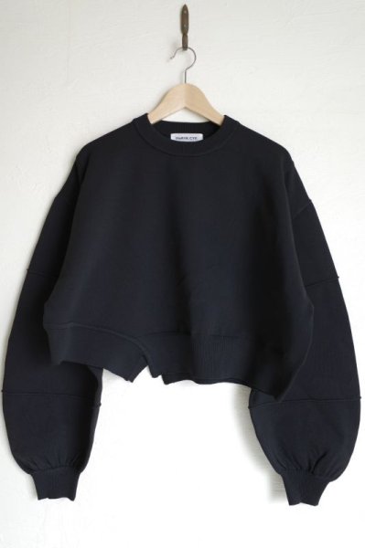 画像1: HeRIN.CYE       boy friend short tops・BLACK (1)