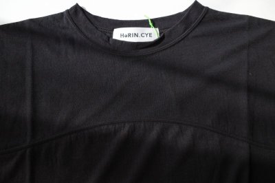 画像2: HeRIN.CYE       Sheer half sleeve Tshirt・BLACK