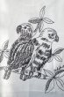画像5: phebus       TWO BIRDS T-SHIRT・WHITE (5)
