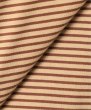 画像3: FOLL       wardrobe border tee・brown (3)