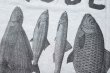 画像7:  GARBAGE      POCKET TEE (DEPESCE MODE)・ASH.GREY (7)