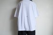 画像4: CILANDSIA  　ONE-OFF T-shirt・D (4)