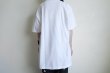 画像12: mahana       visual guide graphic T-shirt (12)