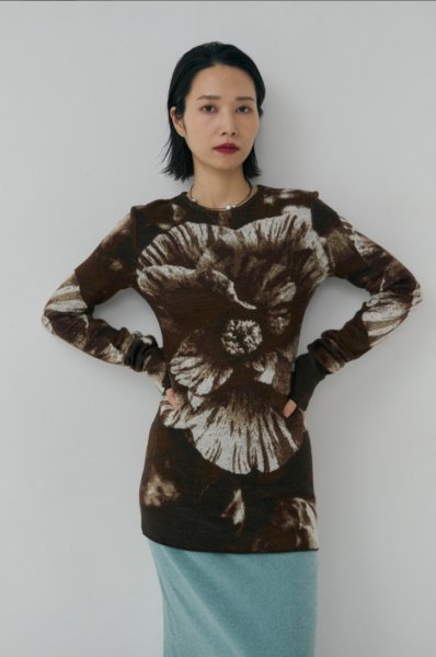 画像1: Mediam       Photo Knit Pullover・B (1)