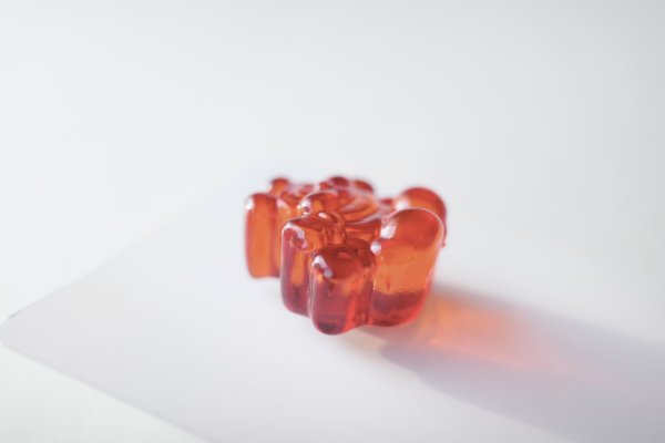 画像3: mahana       caterpillar earrings・clear orange small (3)