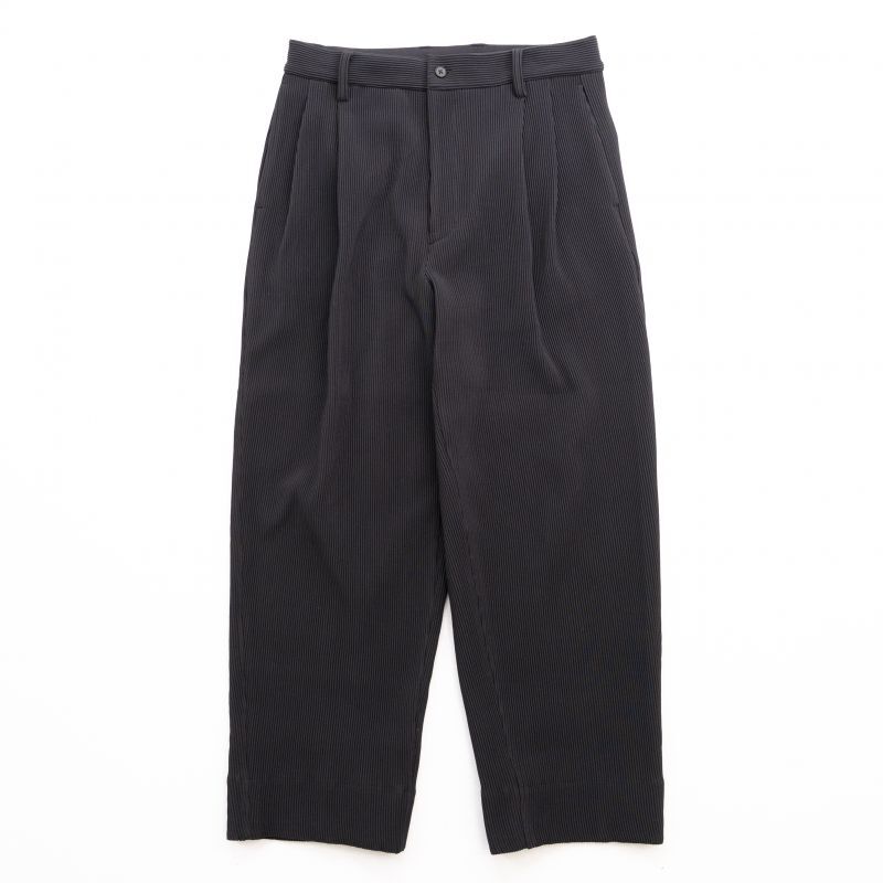 stein GRADATION PLEATS TWO TUCK TROUSERS・BLACK - tity