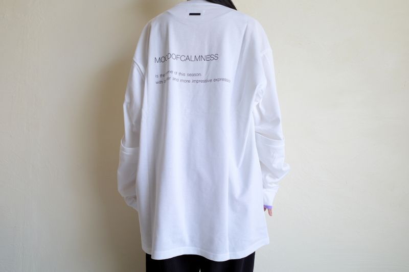 stein OVERSIZED LONG SLEEVE TEE -WORDS-・WHITE - tity